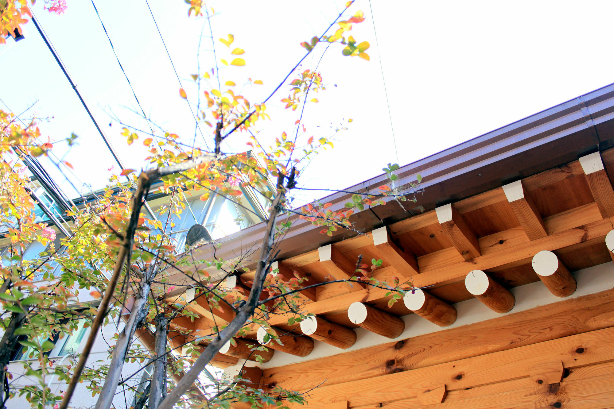 Hanok 24 Guesthouse Gyeongbokgung Seul Dış mekan fotoğraf